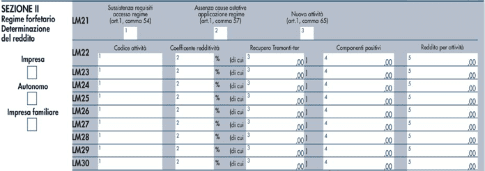 Errore Compilazione Quadro Lm Regime Forfettario Dei Minimi Come